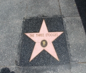 2014 LA CA WalkofFame 006